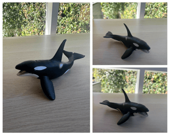 Orca mascot